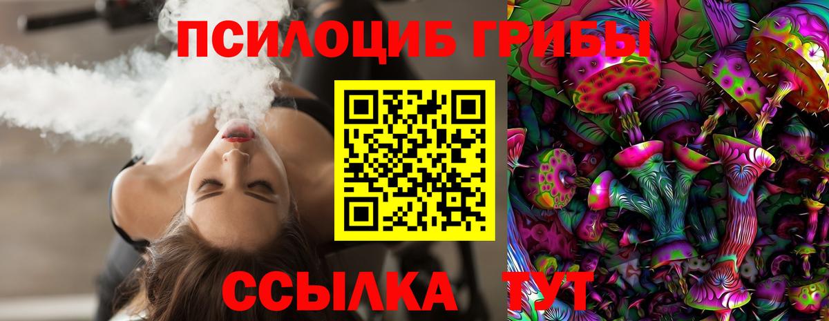 Псилоцибиновые грибы прущие грибы Приморско-Ахтарск