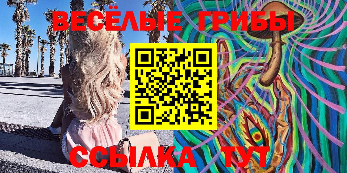 Приморско-Ахтарск  Галлюциногенные грибы Psilocybe  Вход с VPN  Галлюциногенные грибы ЛСД 